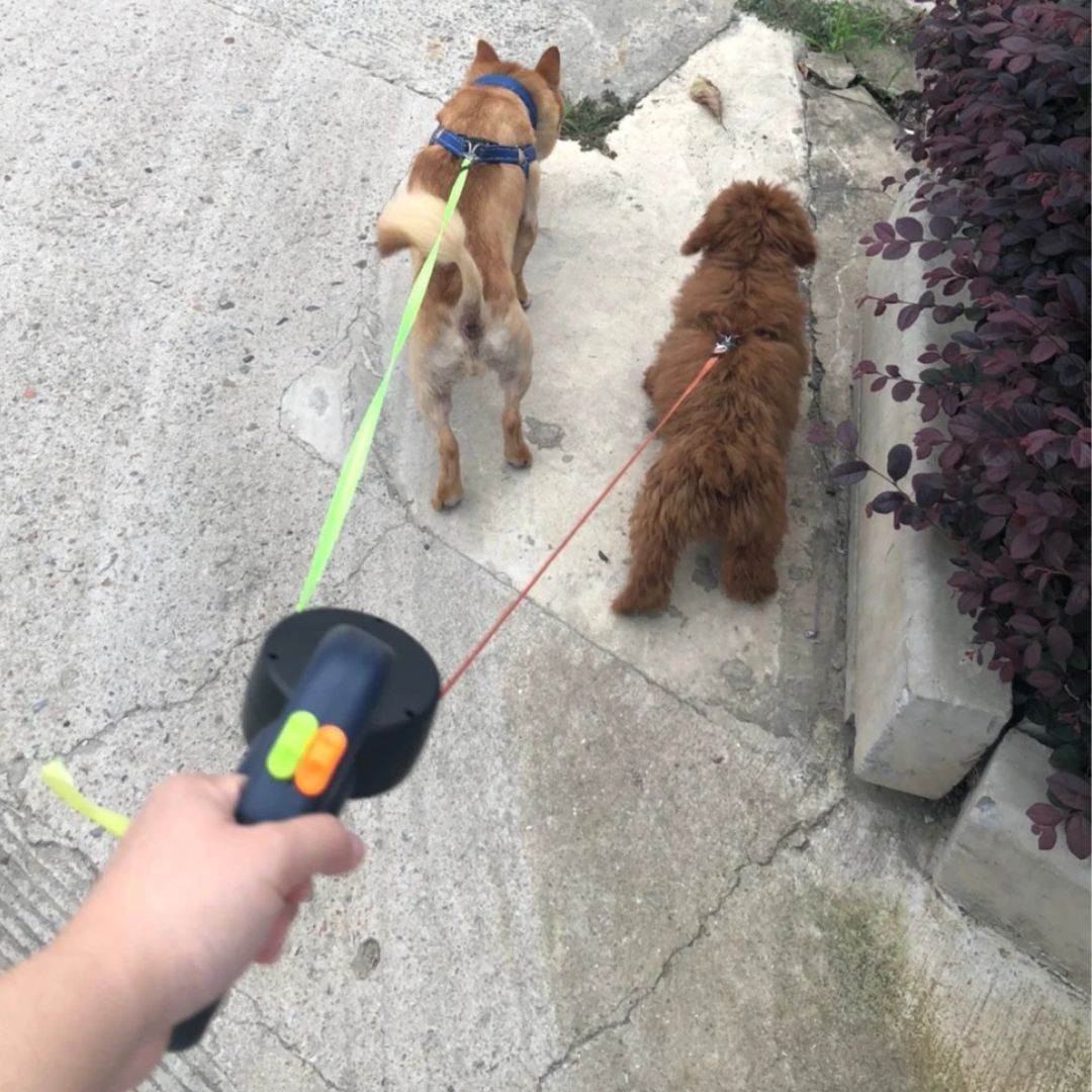 Double Dog Leash with Flashlight and Waste Bag Holder