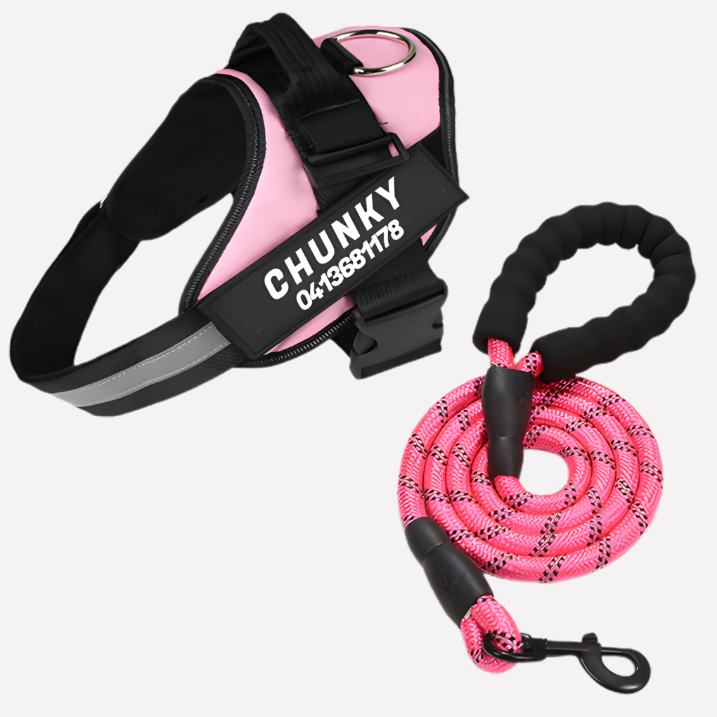 Wearclo | Customizable Anti-Pull Dog Harness