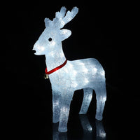 Acrylic Reindeer with LED Lights - Height 40 cm
