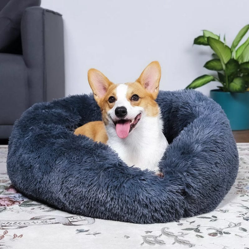 Calming Bed for Dogs and Cats with Elevated Edges