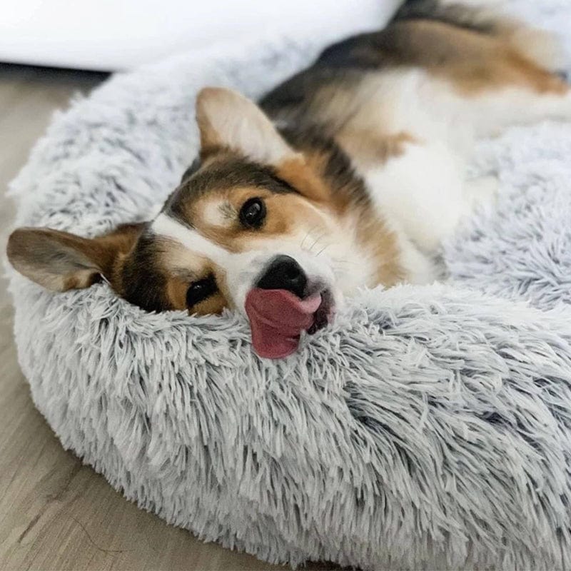 Calming Bed for Dogs and Cats with Elevated Edges