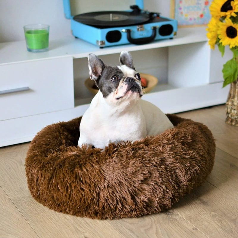 Calming Bed for Dogs and Cats with Elevated Edges