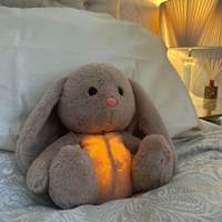 Calming Cuddle Toy