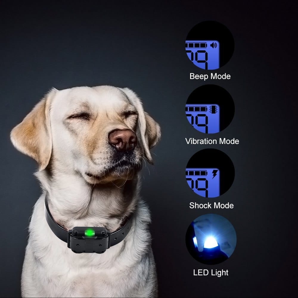 Electric Dog Training Collar with 800 m Range