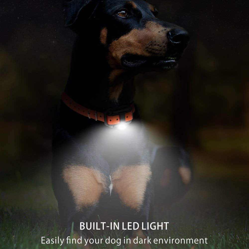 Electric Dog Training Collar with 800 m Range