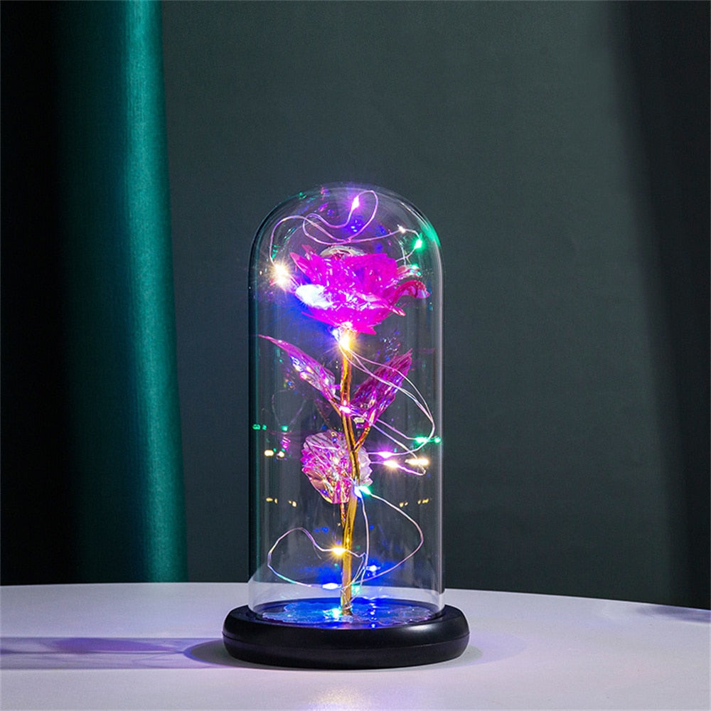 Enchanted Rose Dome Light