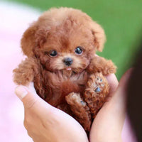 Lifelike Companion Robot Dog