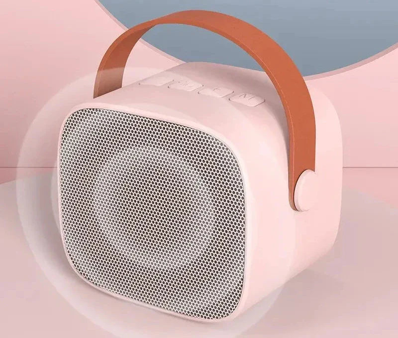 Luxury karaoke equipment for home concerts