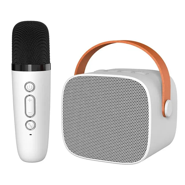 Luxury karaoke equipment for home concerts
