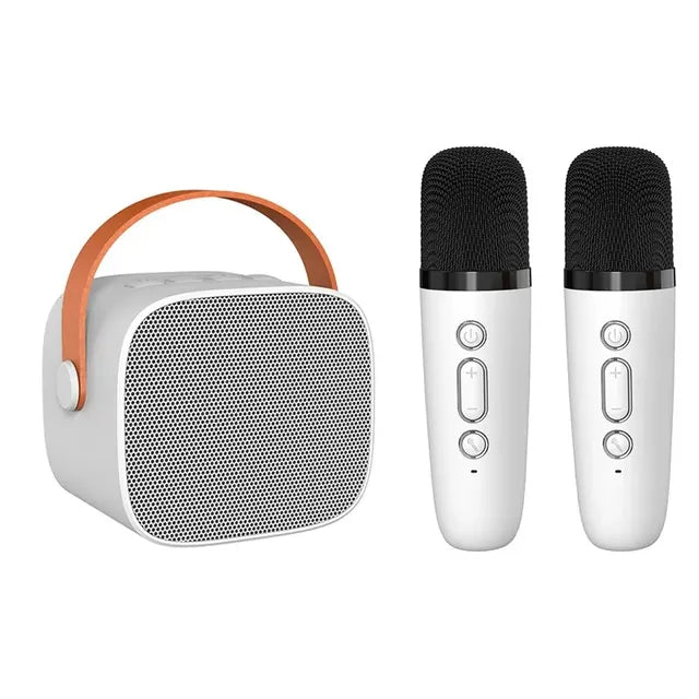 Luxury karaoke equipment for home concerts