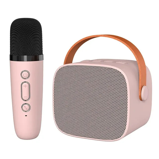 Luxury karaoke equipment for home concerts