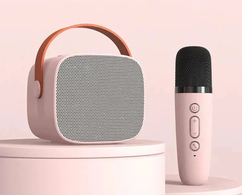Luxury karaoke equipment for home concerts