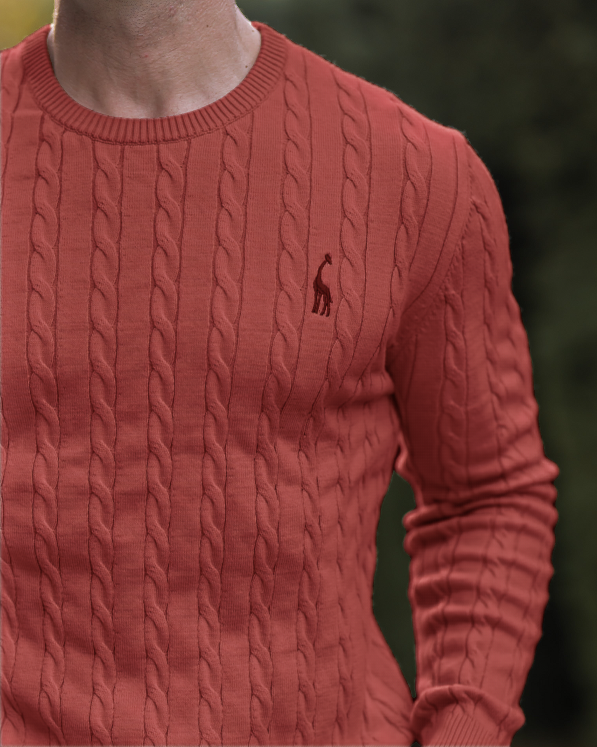 Men's Modern Cable-Knit Sweater