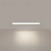 Elegant Linear Ceiling Light - Powerful Illumination