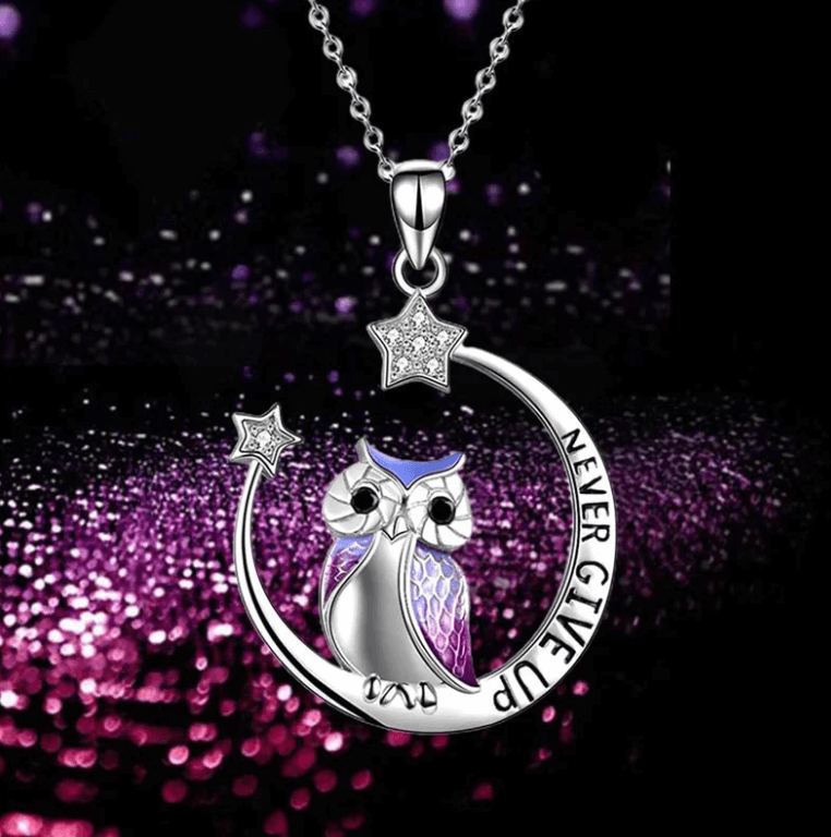 Never Give Up Wise Owl Necklace