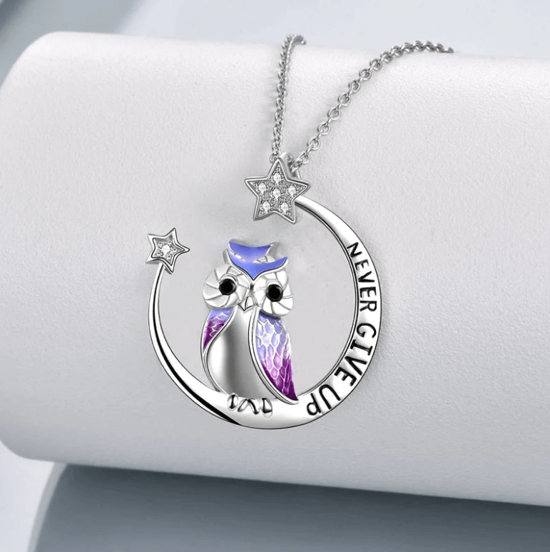 Never Give Up Wise Owl Necklace