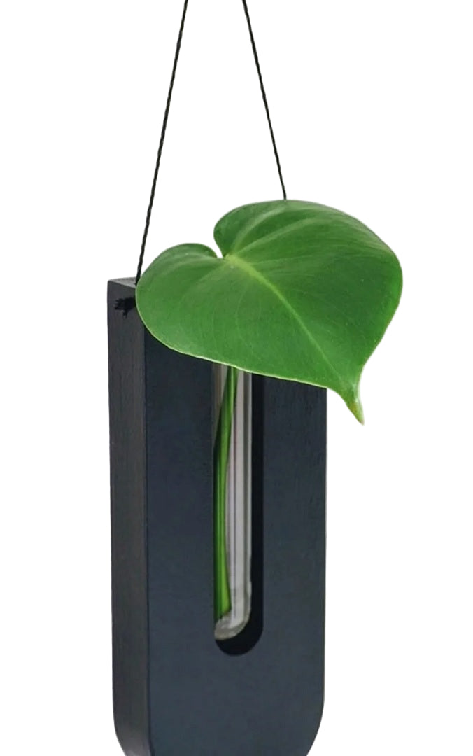 Rustic Wood Wall Plant Holder Set