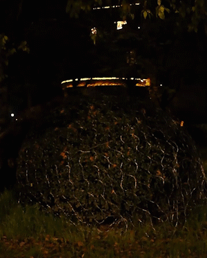 Solar Fishing Net Lights