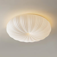 Modern Ceiling Light with Adjustable Brightness