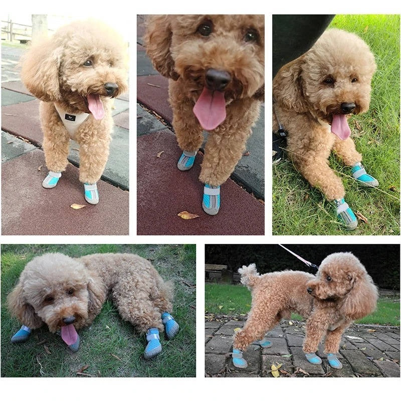 Waterproof and Breathable Dog Paw Boots with Non-Slip Sole for Outdoor Use - Pack of 4