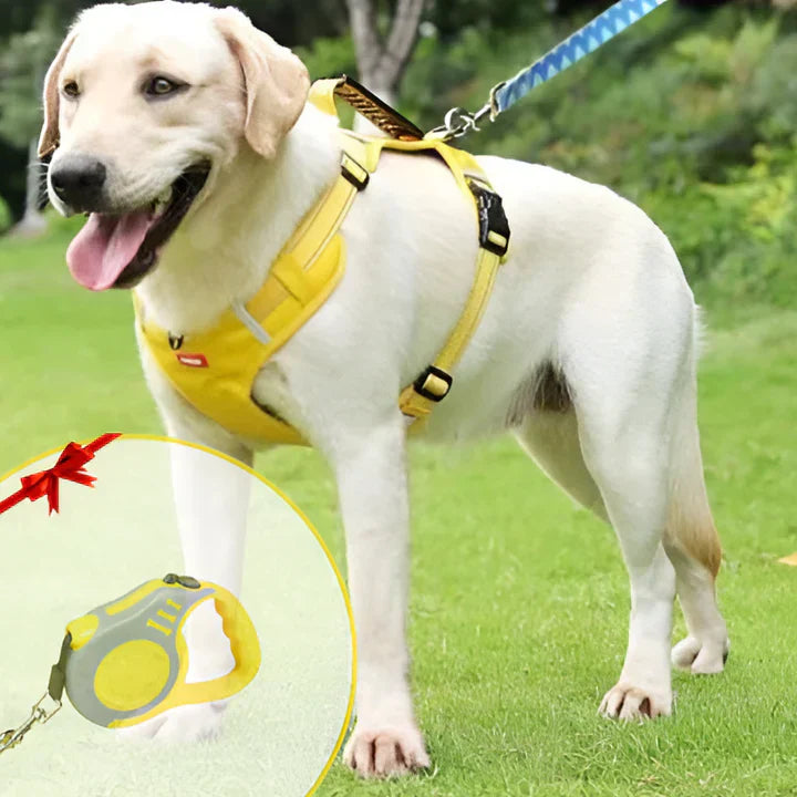 Wearclo | Anti-Pull Dog Harness with Padded Comfort