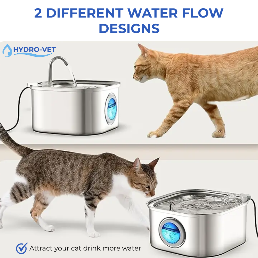 Wearclo | AquaSoft Whisper Quiet Pet Drinking Fountain – 3.2L with LED, Stainless Steel & 5-Stage Filtration