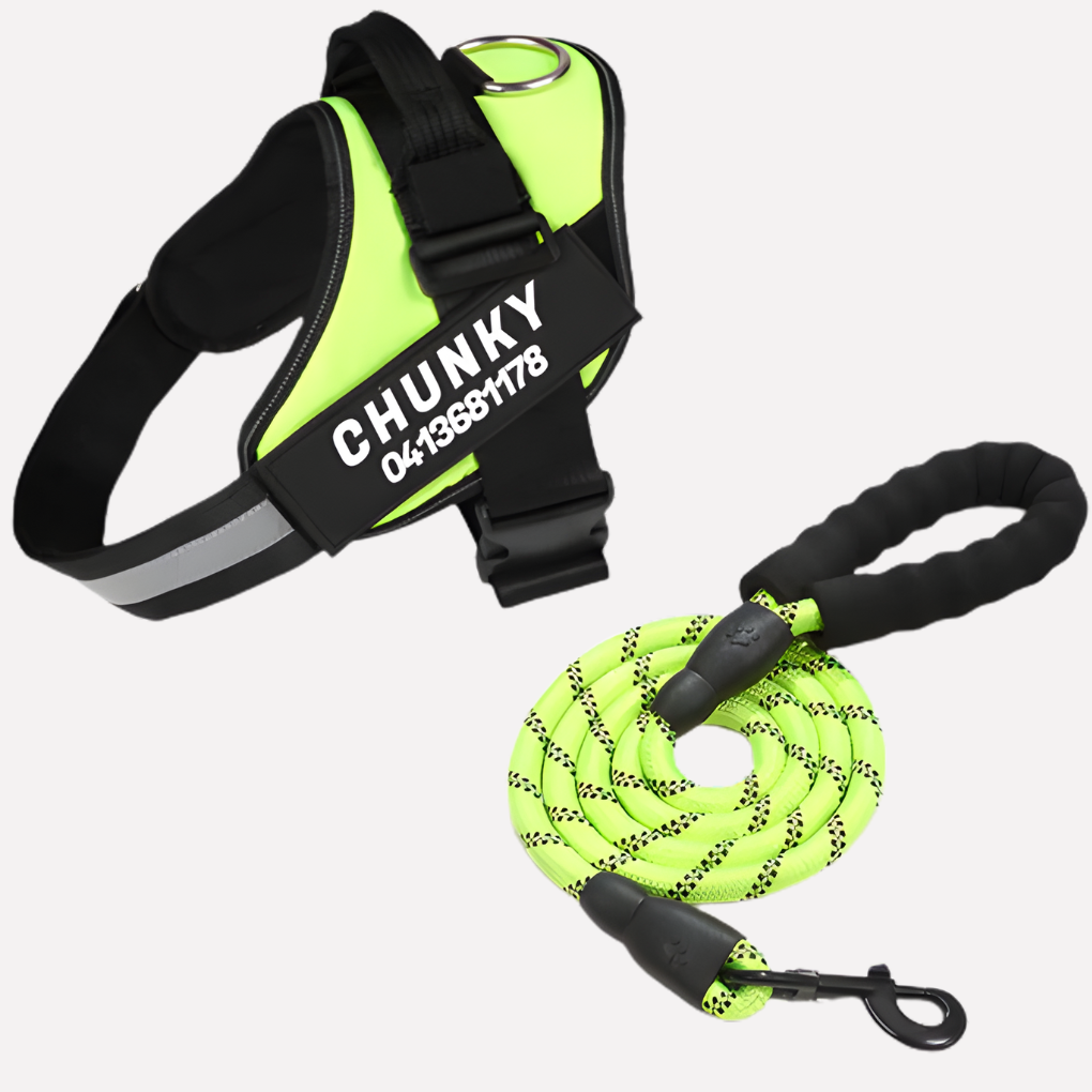 Wearclo | Customizable Anti-Pull Dog Harness