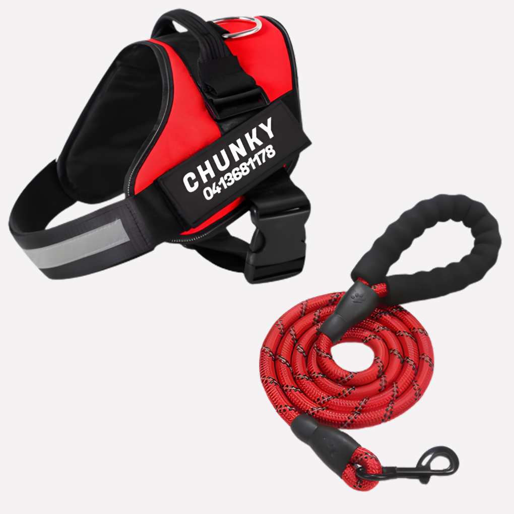 Wearclo | Customizable Anti-Pull Dog Harness