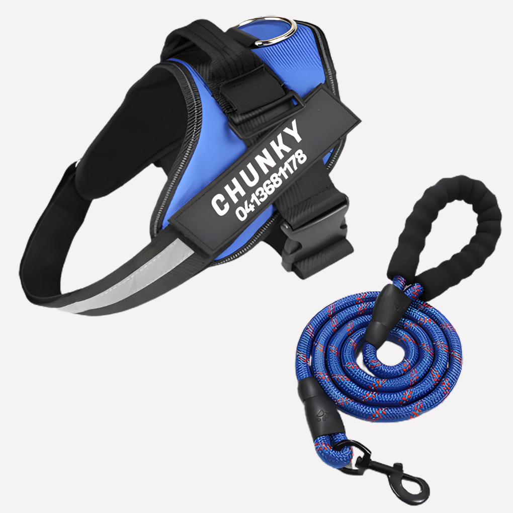 Wearclo | Customizable Anti-Pull Dog Harness