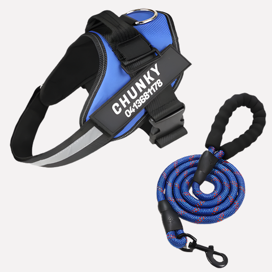 Wearclo | Customizable Anti-Pull Dog Harness