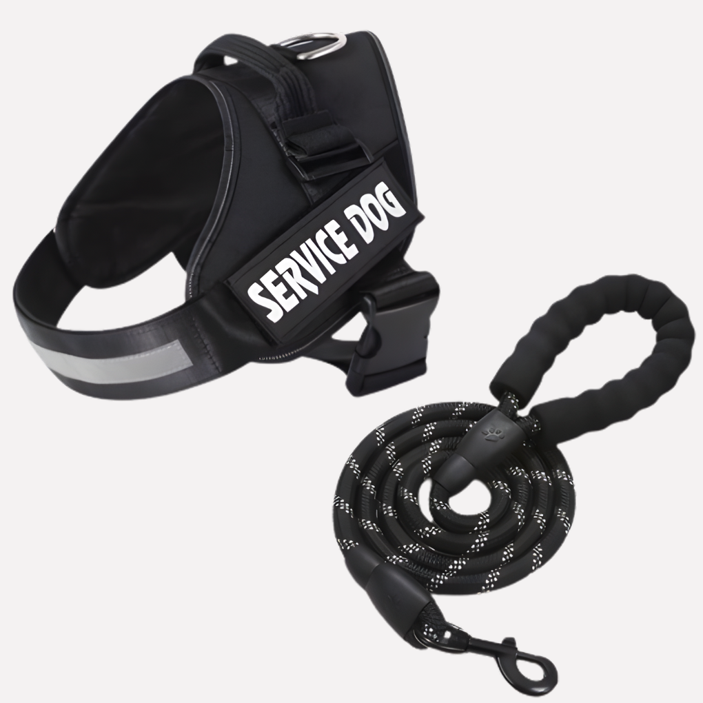Wearclo | Customizable Anti-Pull Dog Harness with Name Tag