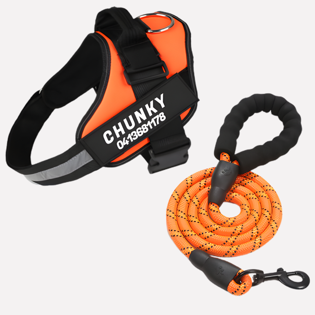 Wearclo | Customizable Anti-Pull Dog Harness with Name Tag