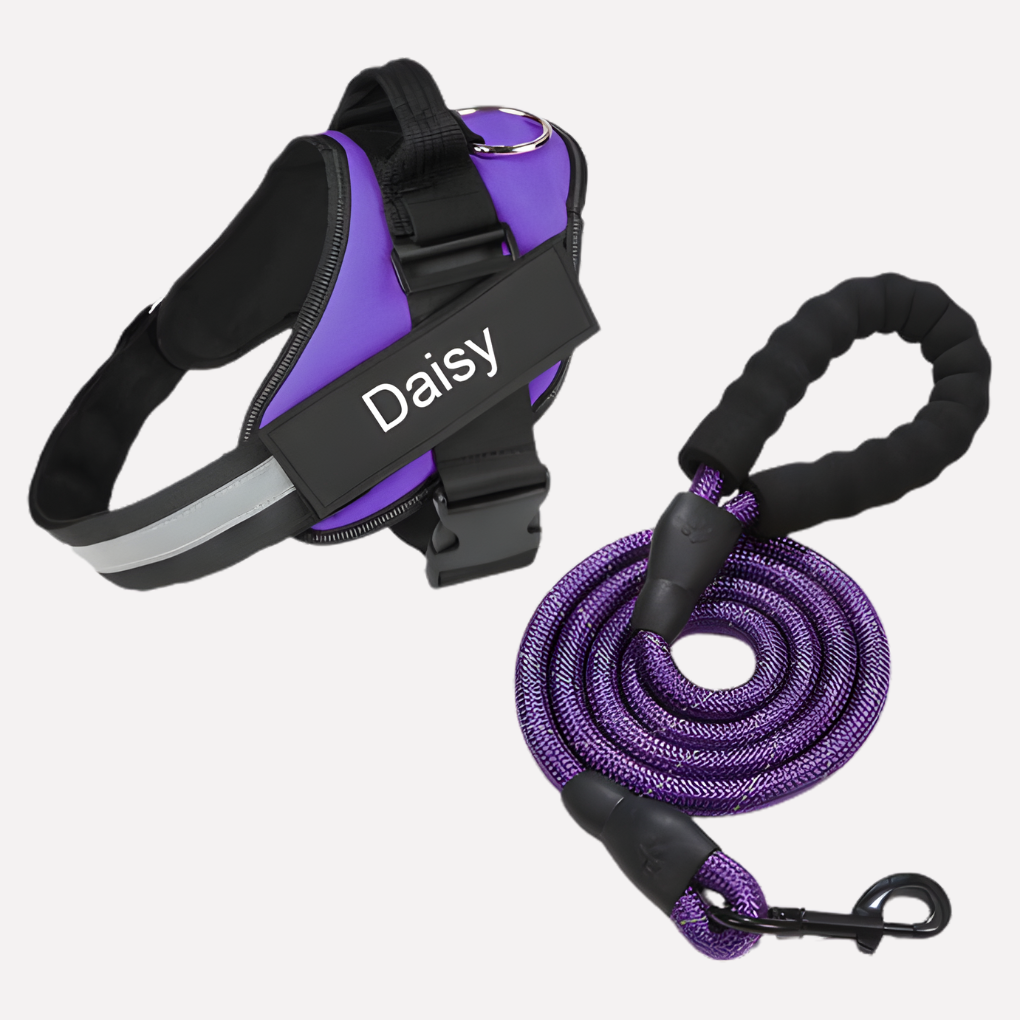 Wearclo | Customizable Anti-Pull Dog Harness with Name Tag
