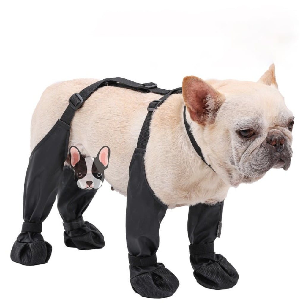 Wearclo | Dog Leggings with Paw Protection