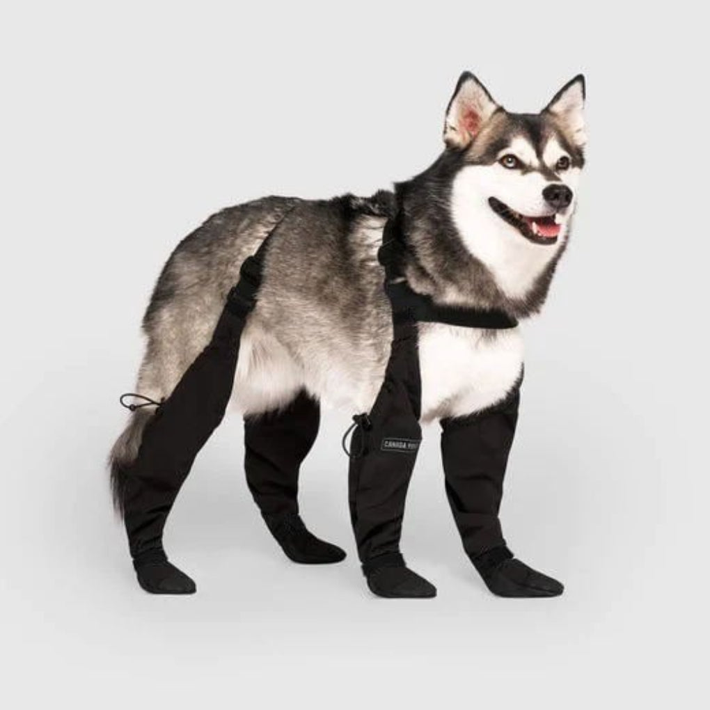 Wearclo | Dog Leggings with Paw Protection