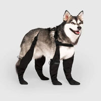 Wearclo | Dog Leggings with Paw Protection