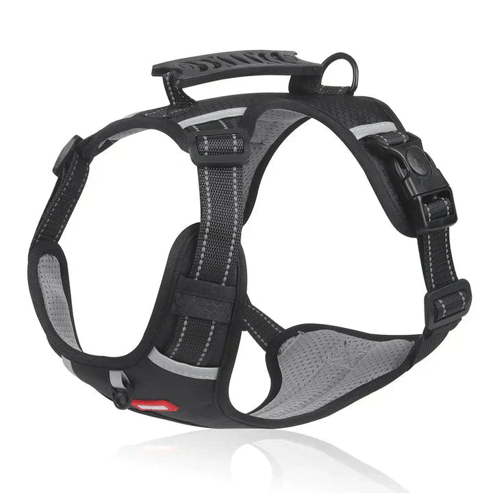 Wearclo | No-Pull Dog Harness with Padded Comfort