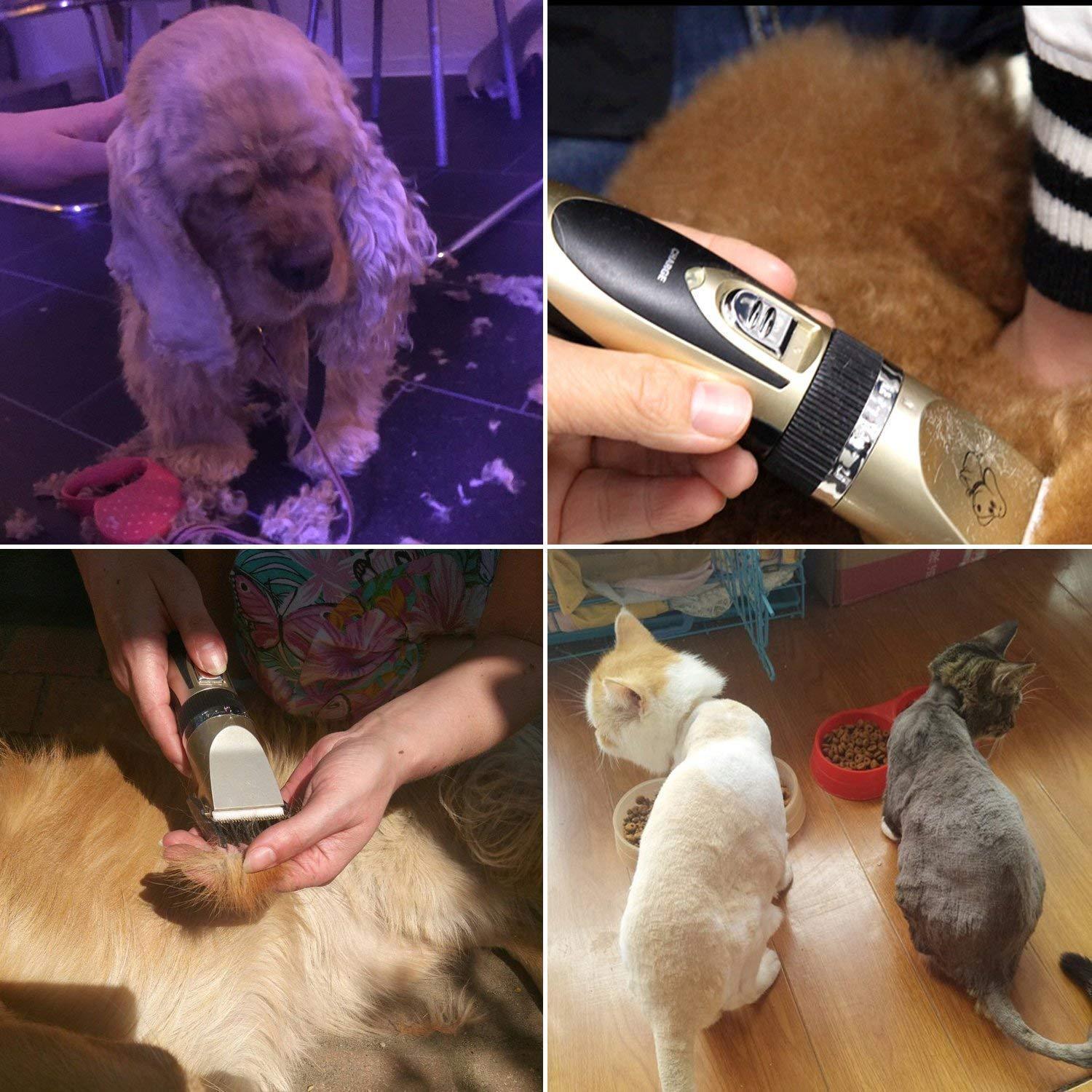 Wearclo | Professional Rechargeable Pet Clipper