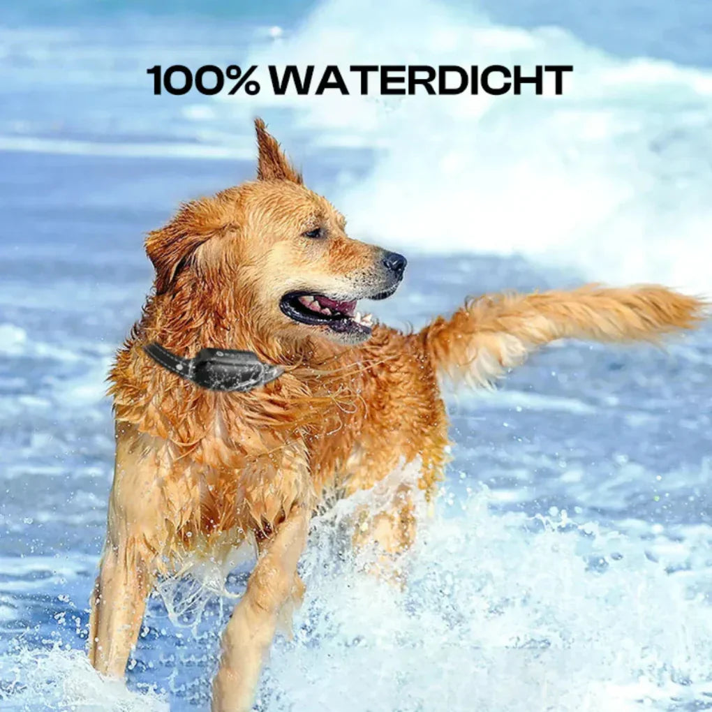 Wearclo | Remote Dog Training Collar with Long Range & Waterproof Design