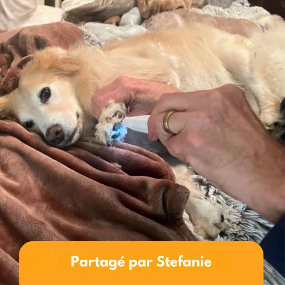 Wearclo | SilentPet Trimmer – Silent fur trimmer for sensitive areas on dogs & cats