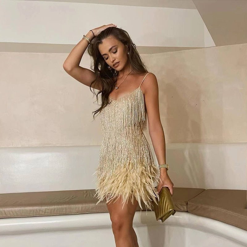 Wearclo | Women's Feather Trim Mini Dress